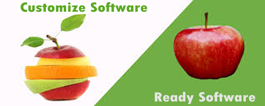 Ready-made Software or custom software?